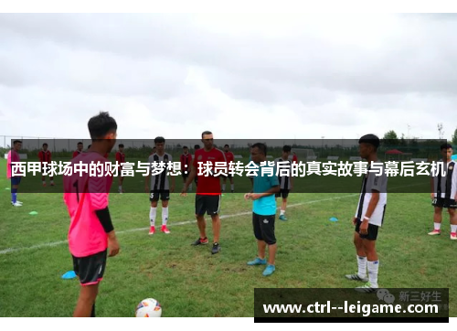 西甲球场中的财富与梦想：球员转会背后的真实故事与幕后玄机